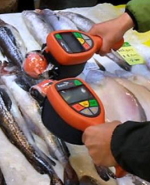 tracerco T401 thumb